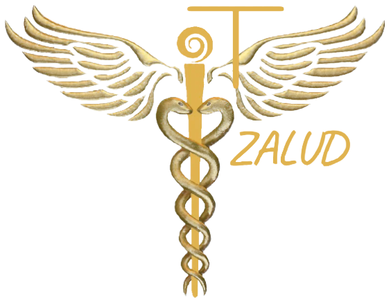 IT-ZALUD Logo